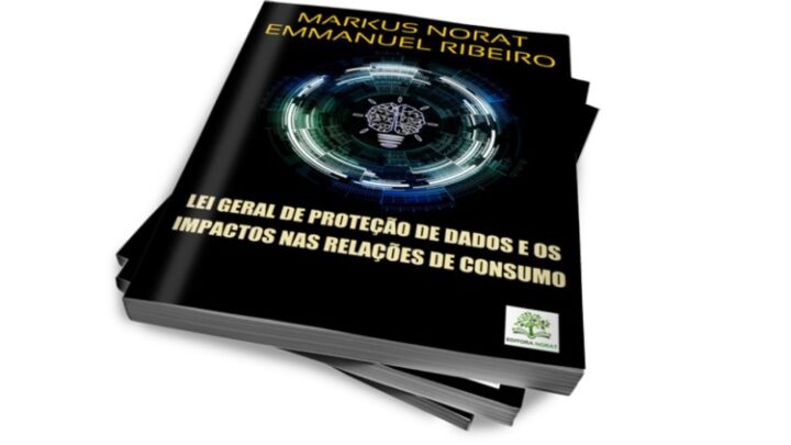 LEI GERAL DE PROTEÇÃO DE DADOS E OS IMPACTOS NAS RELAÇÕES DE CONSUMO