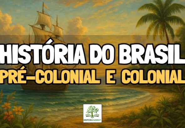 O impacto da Contrarreforma no Brasil